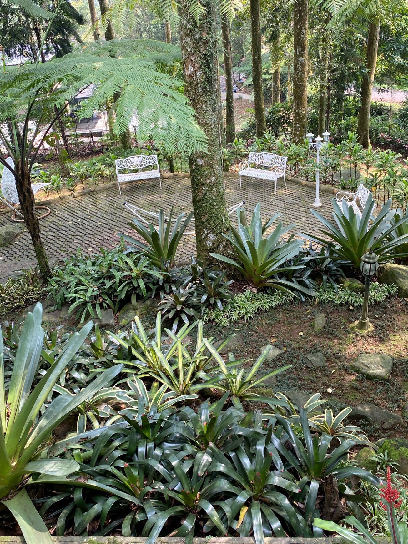 Villa Eksklusif Di Puncak - Mega Indah, Mega Mendung.