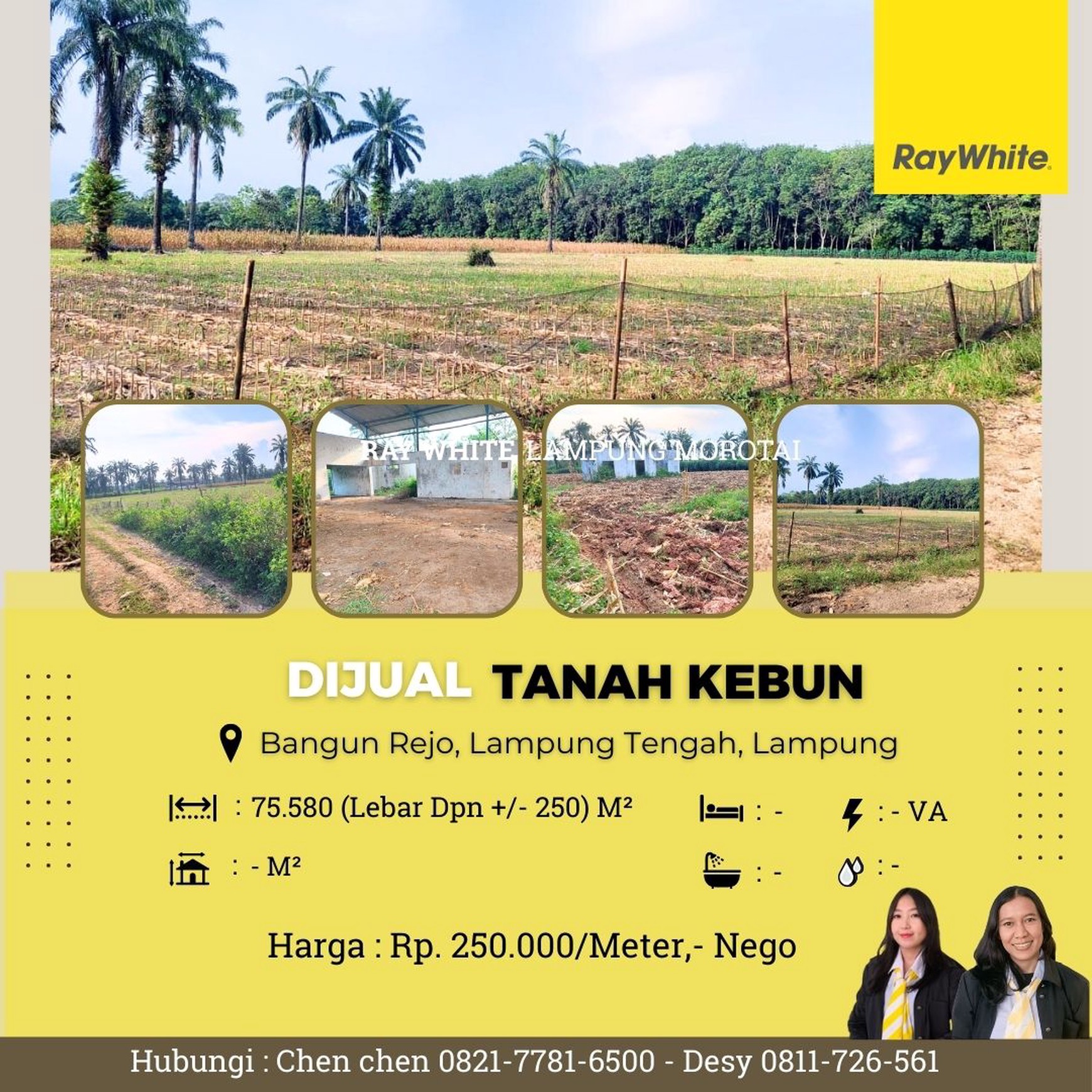 Di Jual Tanah Bangun Rejo