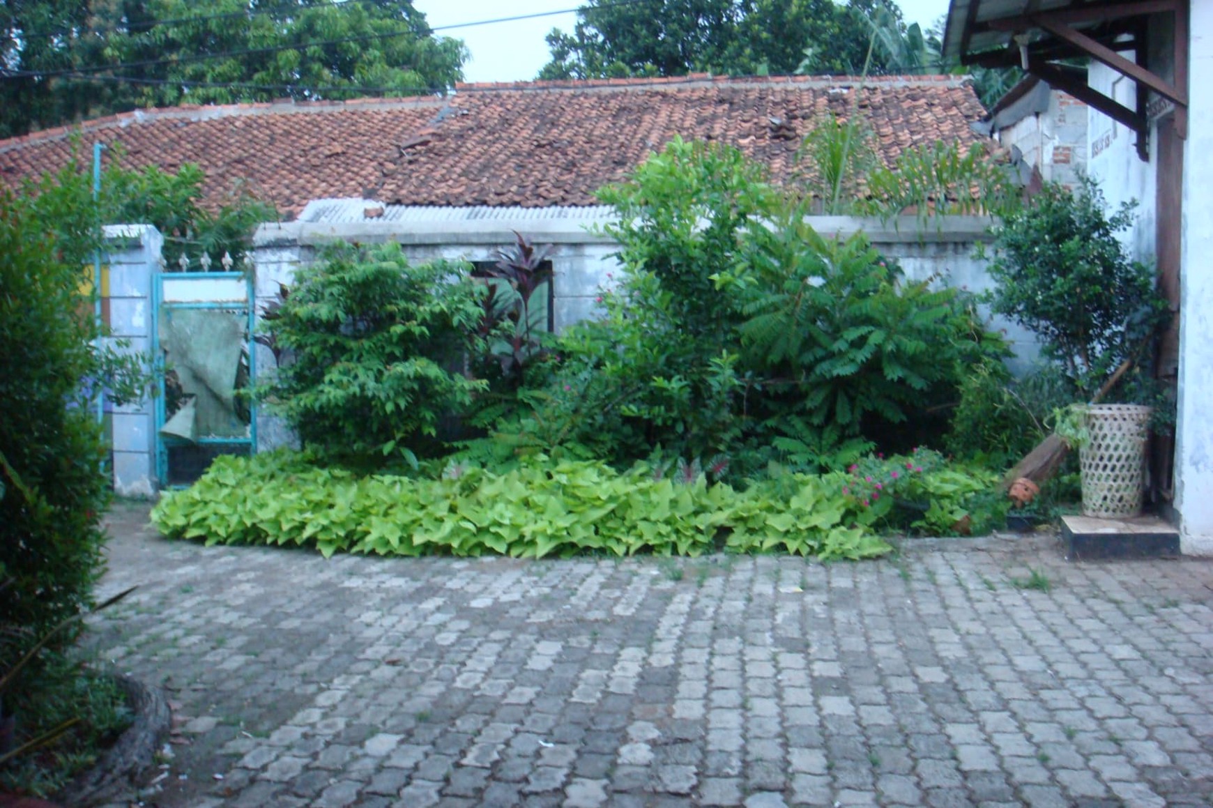 Rumah Strategis Diarea Jl M.Kahfi Cocok Untuk Pertokoan & Usaha.