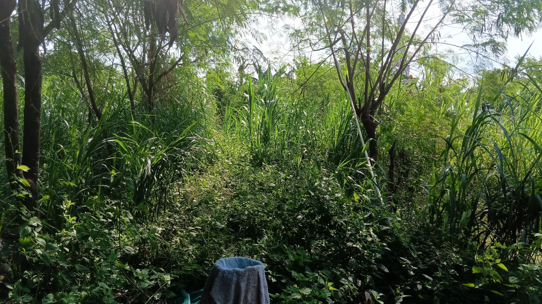 Tanah Luas 2650 Meter Persegi Lokasi Dekat Hotel Grand Orchid Maguwoharjo Depok Sleman 