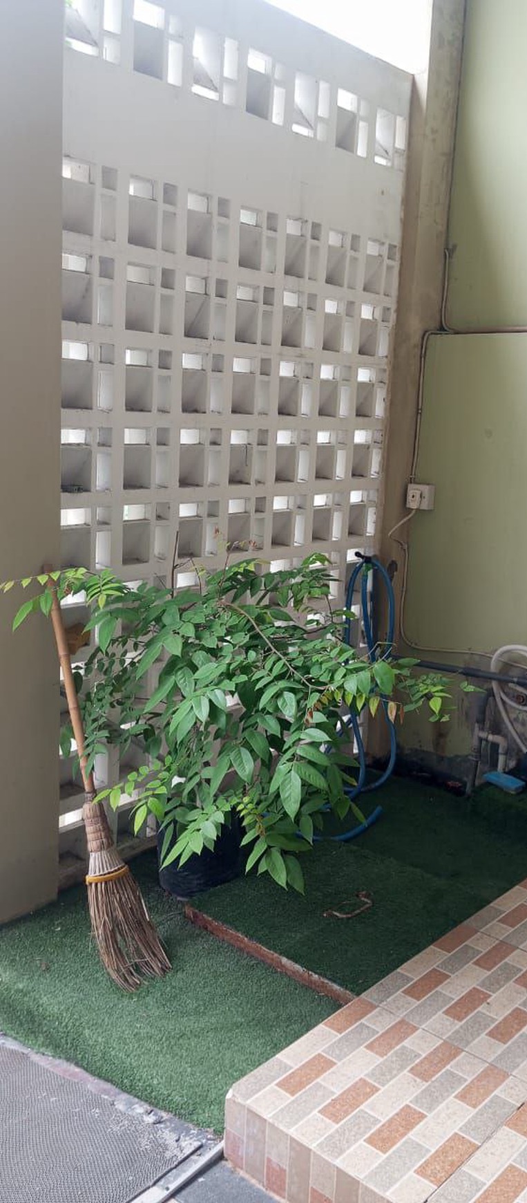 Rumah Siap Huni di Medokan Semampir Surabaya