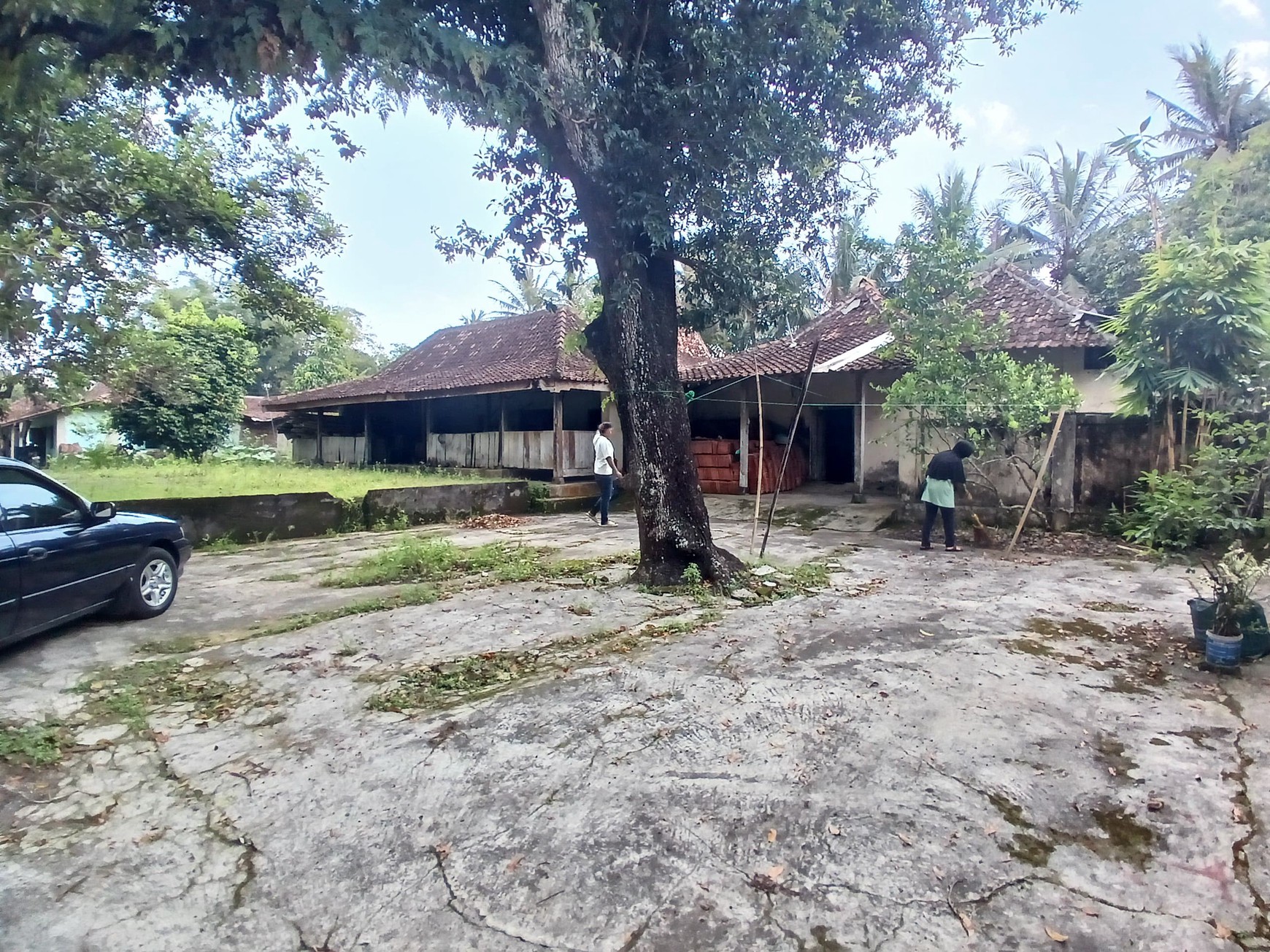 Tanah Bonus Bangunan Joglo 1353 Meter Persegi Lokasi Dekat Exit Tol Banyurejo Tempel Sleman