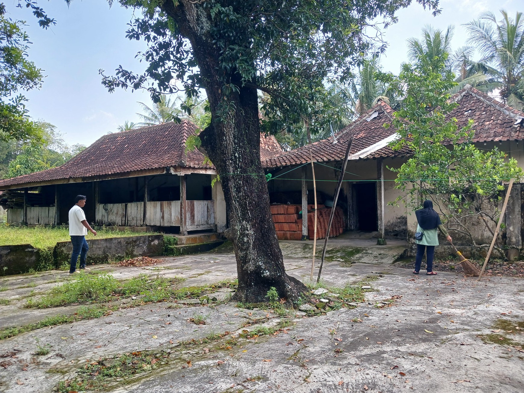 Tanah Bonus Bangunan Joglo 1353 Meter Persegi Lokasi Dekat Exit Tol Banyurejo Tempel Sleman