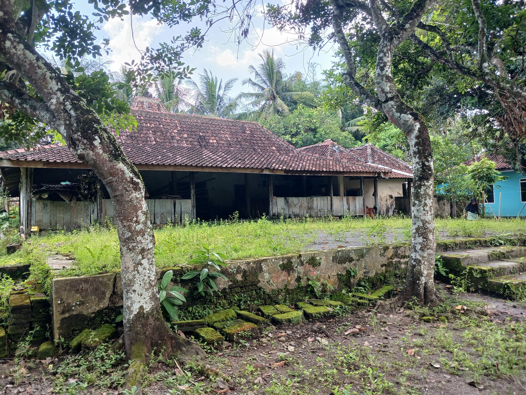 Tanah Bonus Bangunan Joglo 1353 Meter Persegi Lokasi Dekat Exit Tol Banyurejo Tempel Sleman