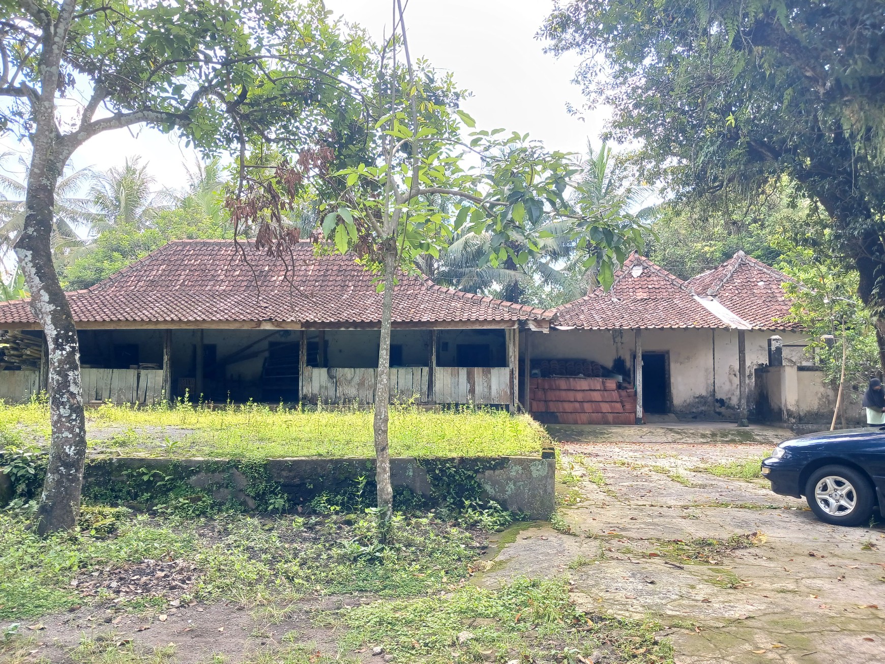 Tanah Bonus Bangunan Joglo 1353 Meter Persegi Lokasi Dekat Exit Tol Banyurejo Tempel Sleman