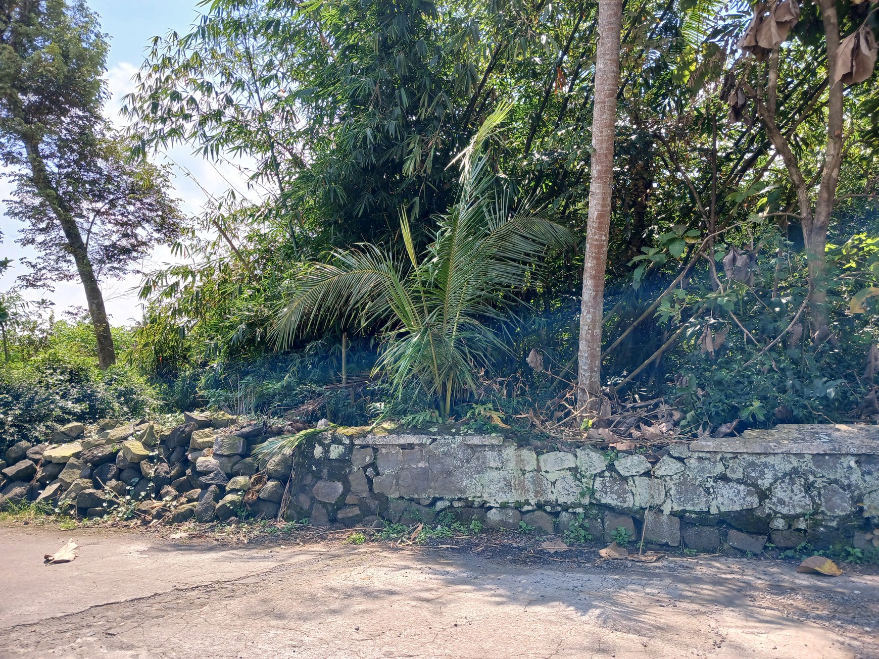 Tanah Bonus Bangunan Joglo 1353 Meter Persegi Lokasi Dekat Exit Tol Banyurejo Tempel Sleman