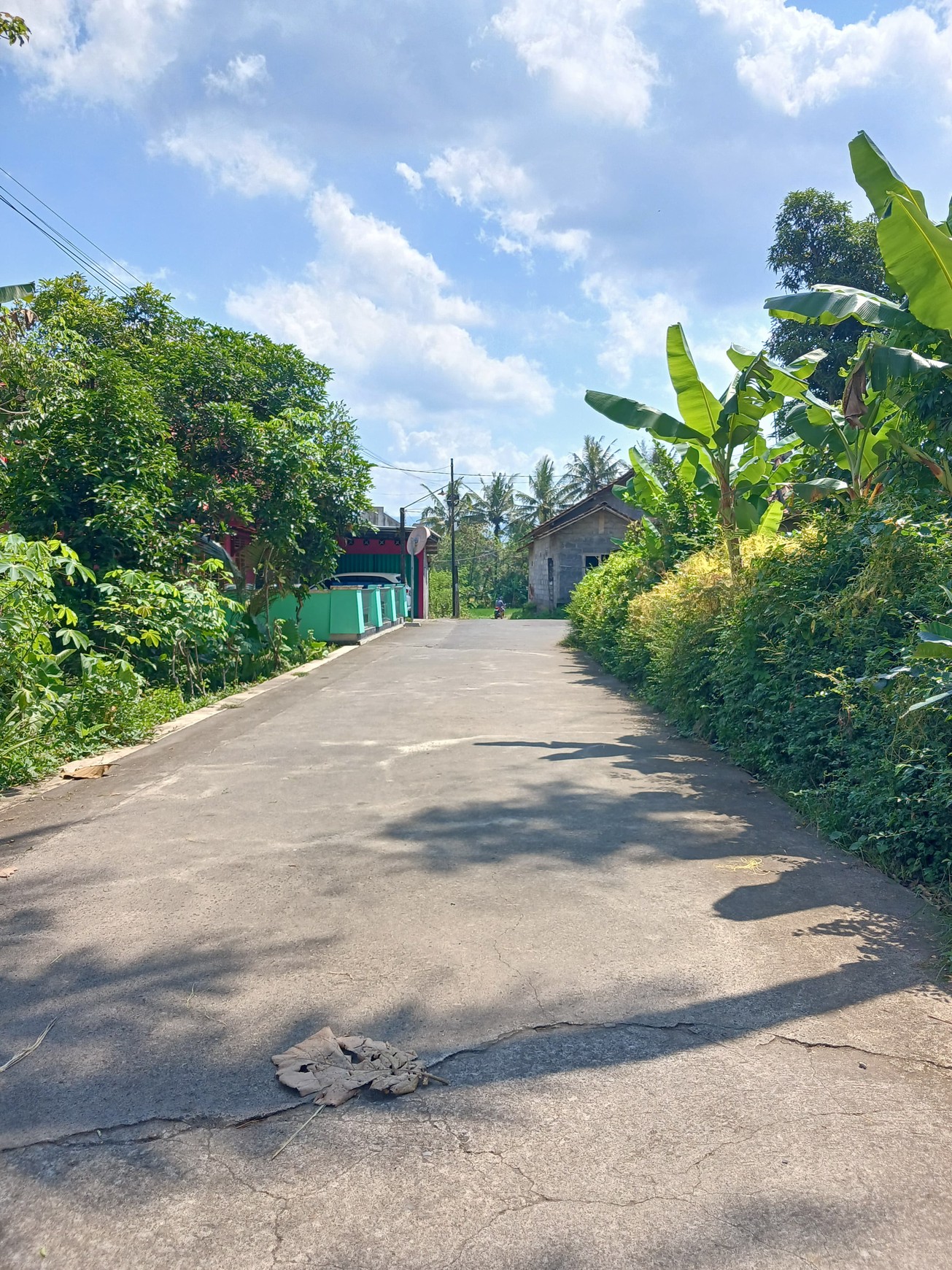 Tanah Bonus Bangunan Joglo 1353 Meter Persegi Lokasi Dekat Exit Tol Banyurejo Tempel Sleman