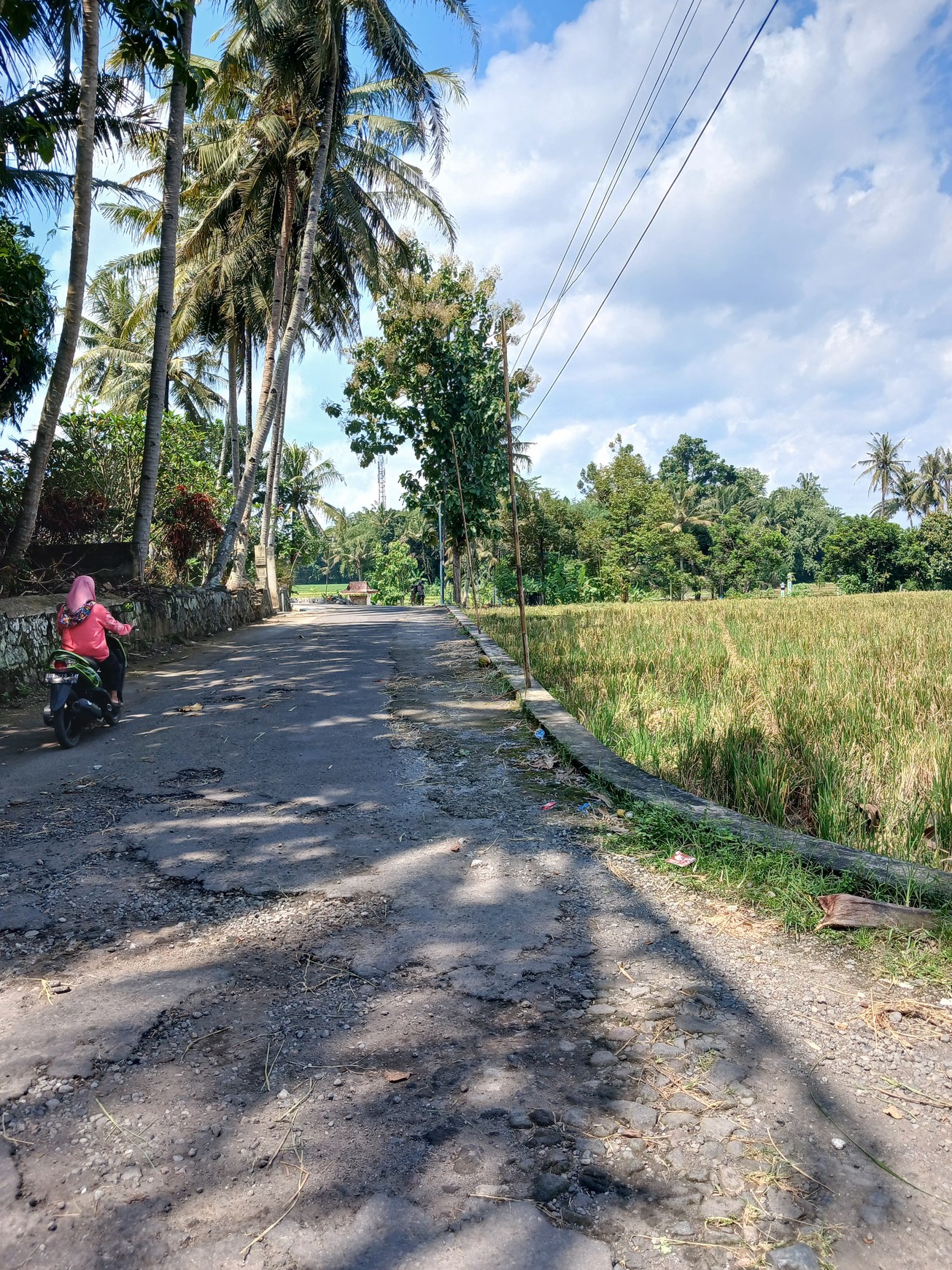 Tanah Bonus Bangunan Joglo 1353 Meter Persegi Lokasi Dekat Exit Tol Banyurejo Tempel Sleman