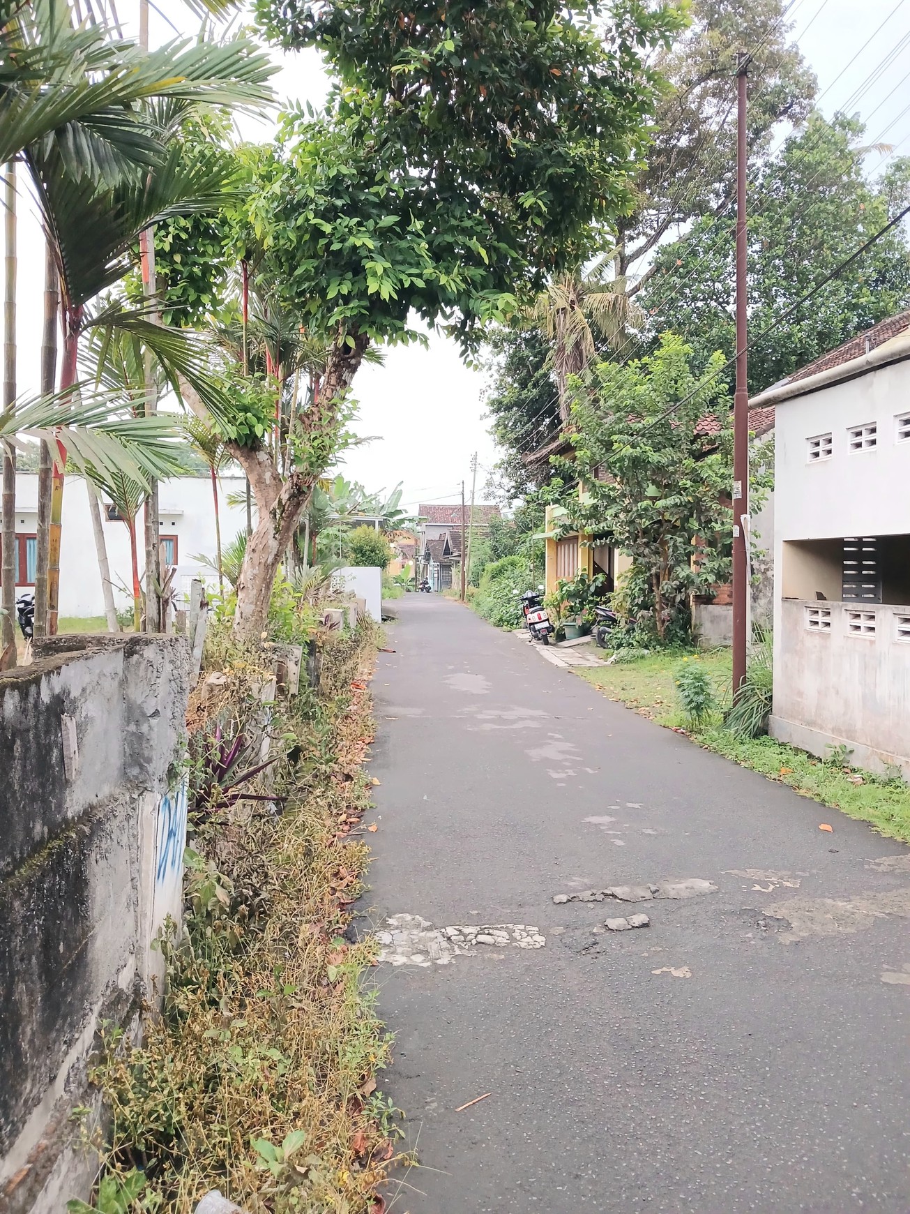 Rumah Tinggal 5 Kamar Tidur Lokasi Dekat Kampus UNISA Nogotirto Gamping Sleman