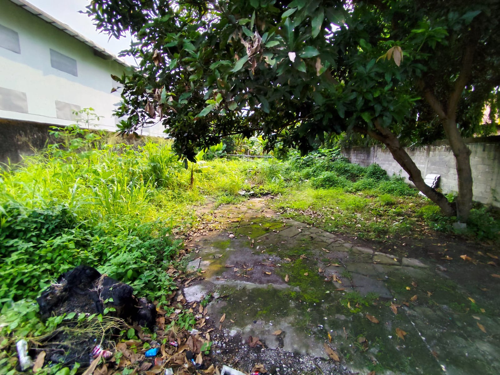 Tanah Pekarangan 649 Meter Persegi Lokasi Kutu Tegal Dekat JCM Sinduadi Mlati Sleman
