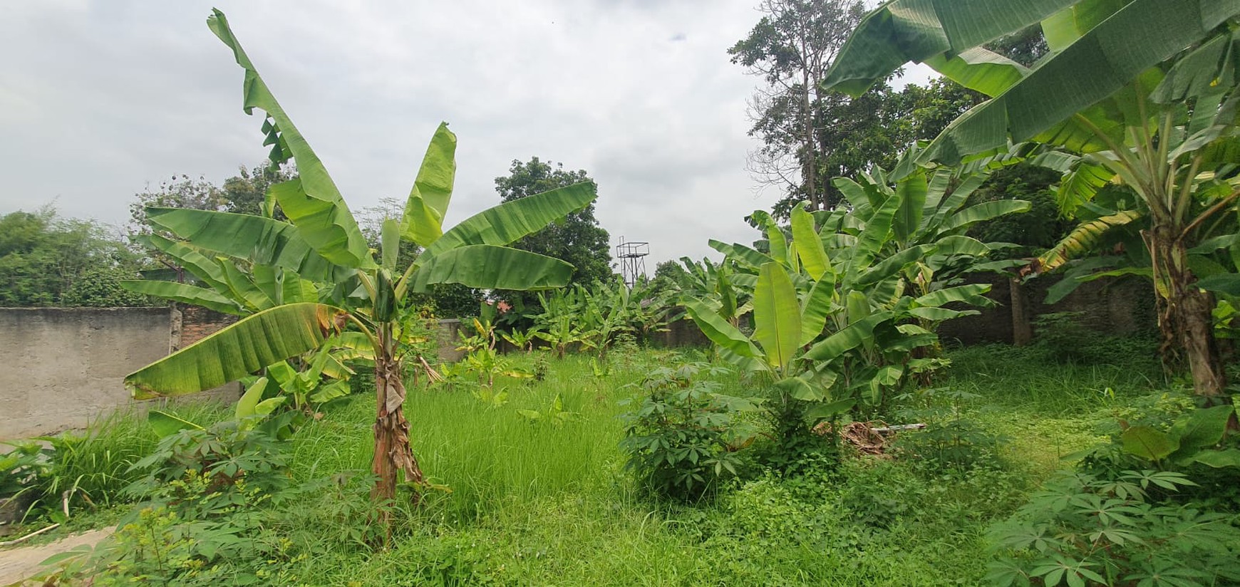 Rumah Bagus di Bintaro Jaya Sektor 9