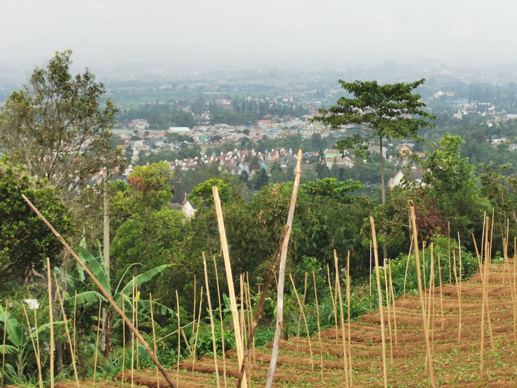 Kavling Di Desa Sukanagalih Puncak, Bogor