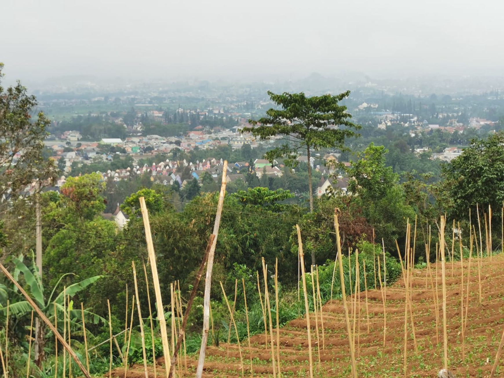 Kavling Di Desa Sukanagalih Puncak, Bogor