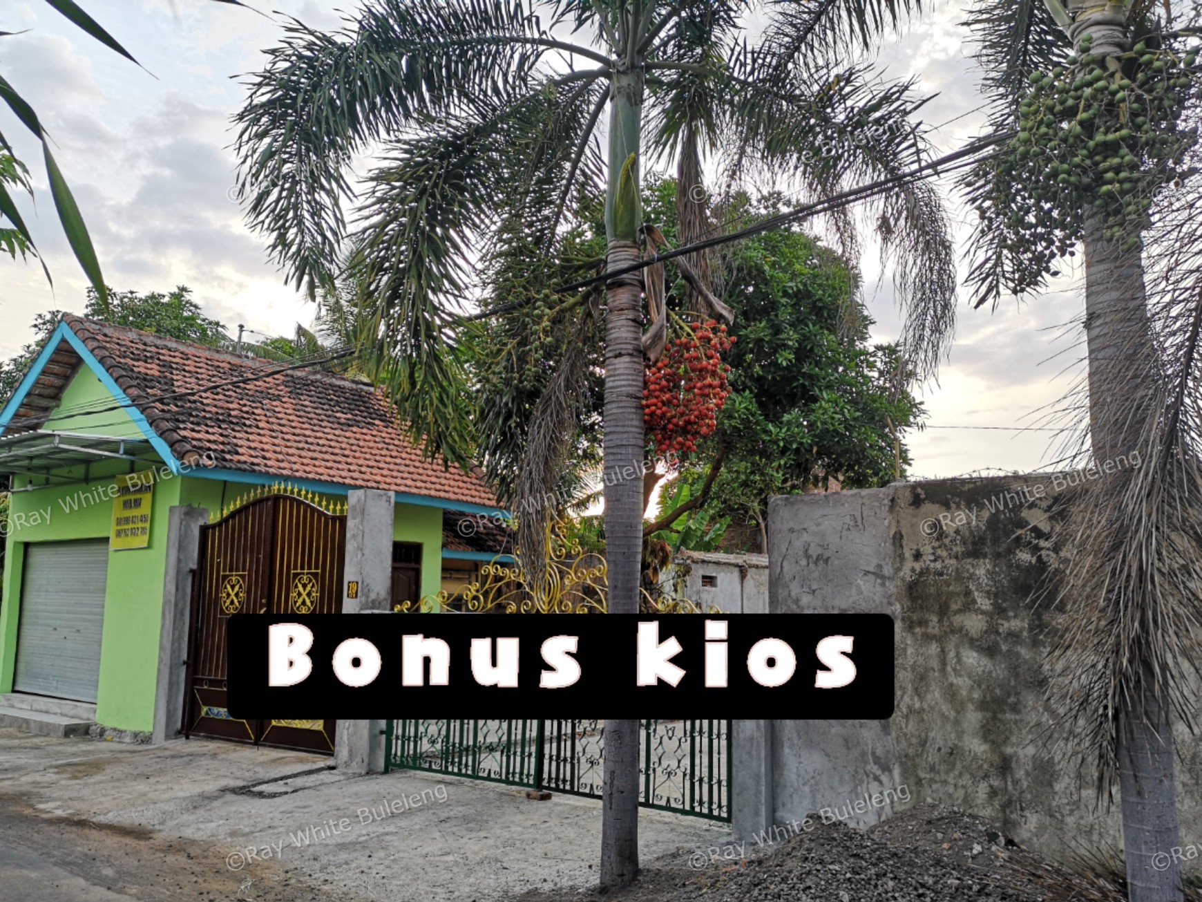 LAND IN CENTER SINGARAJA NOW FOR SALE