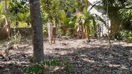 2 are land for sale