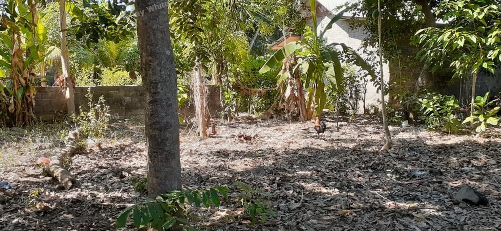 2 are land for sale