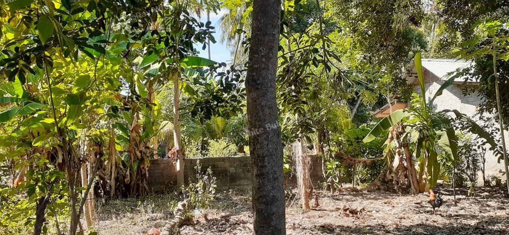 2 are land for sale