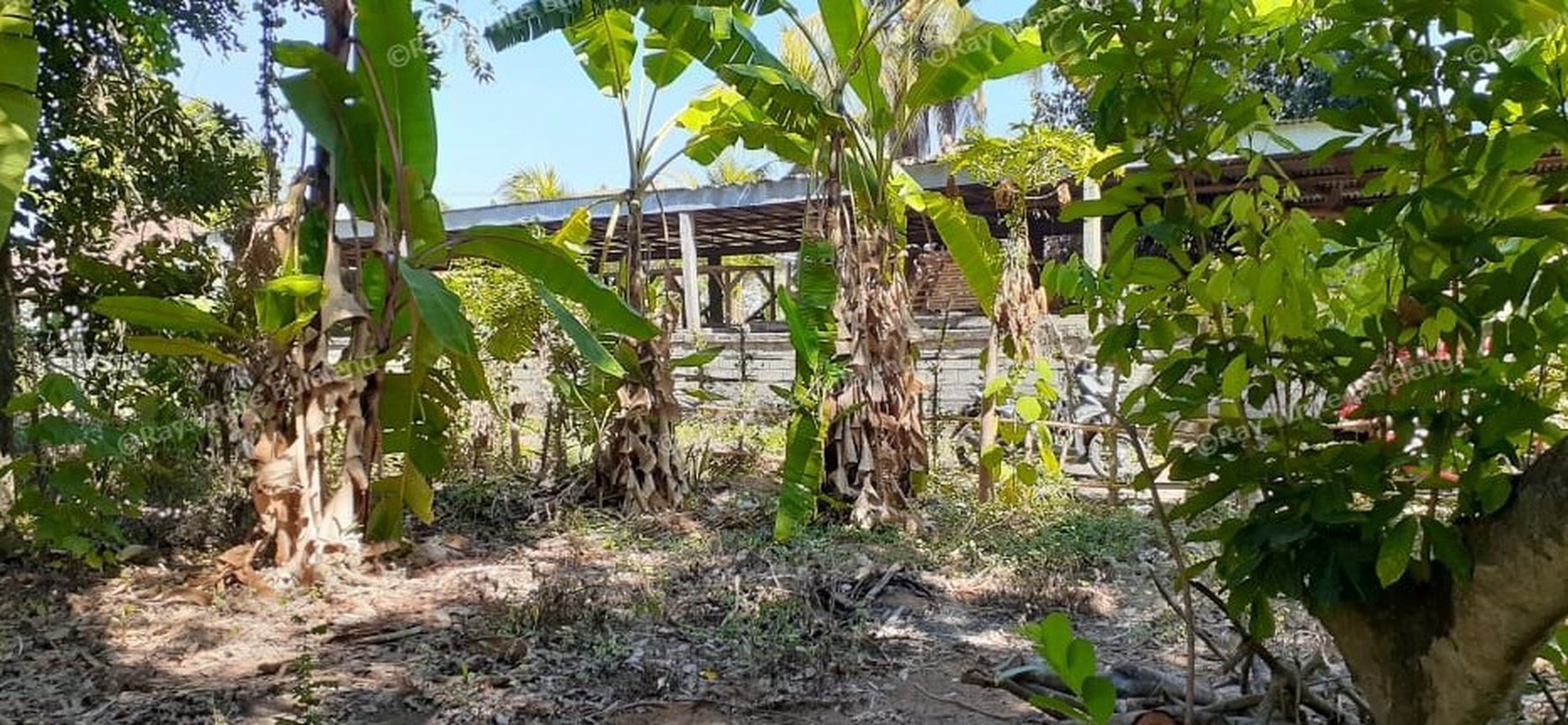 2 are land for sale