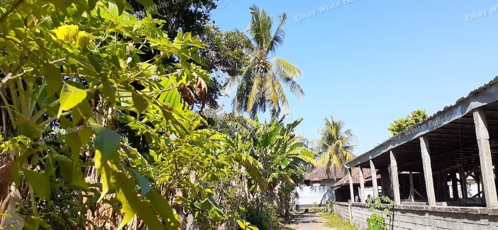 2 are land for sale