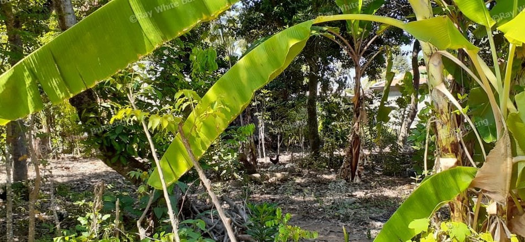 2 are land for sale