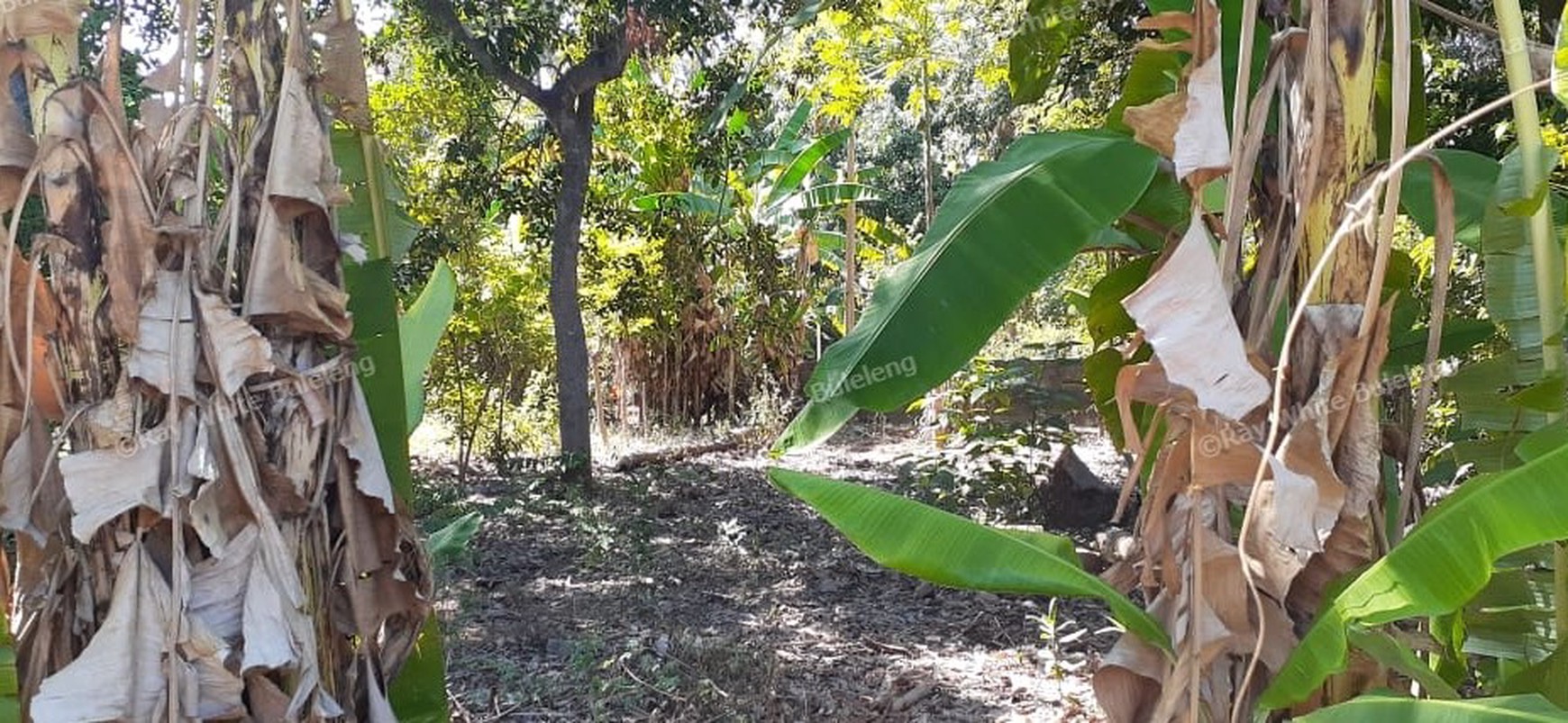 2 are land for sale