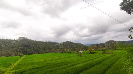 Huge Plot of Land with Great Road Access