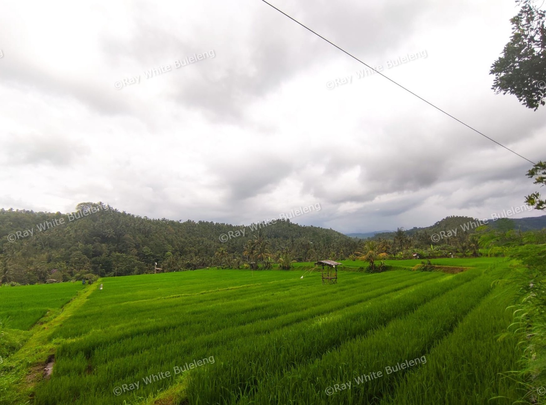 Huge Plot of Land with Great Road Access