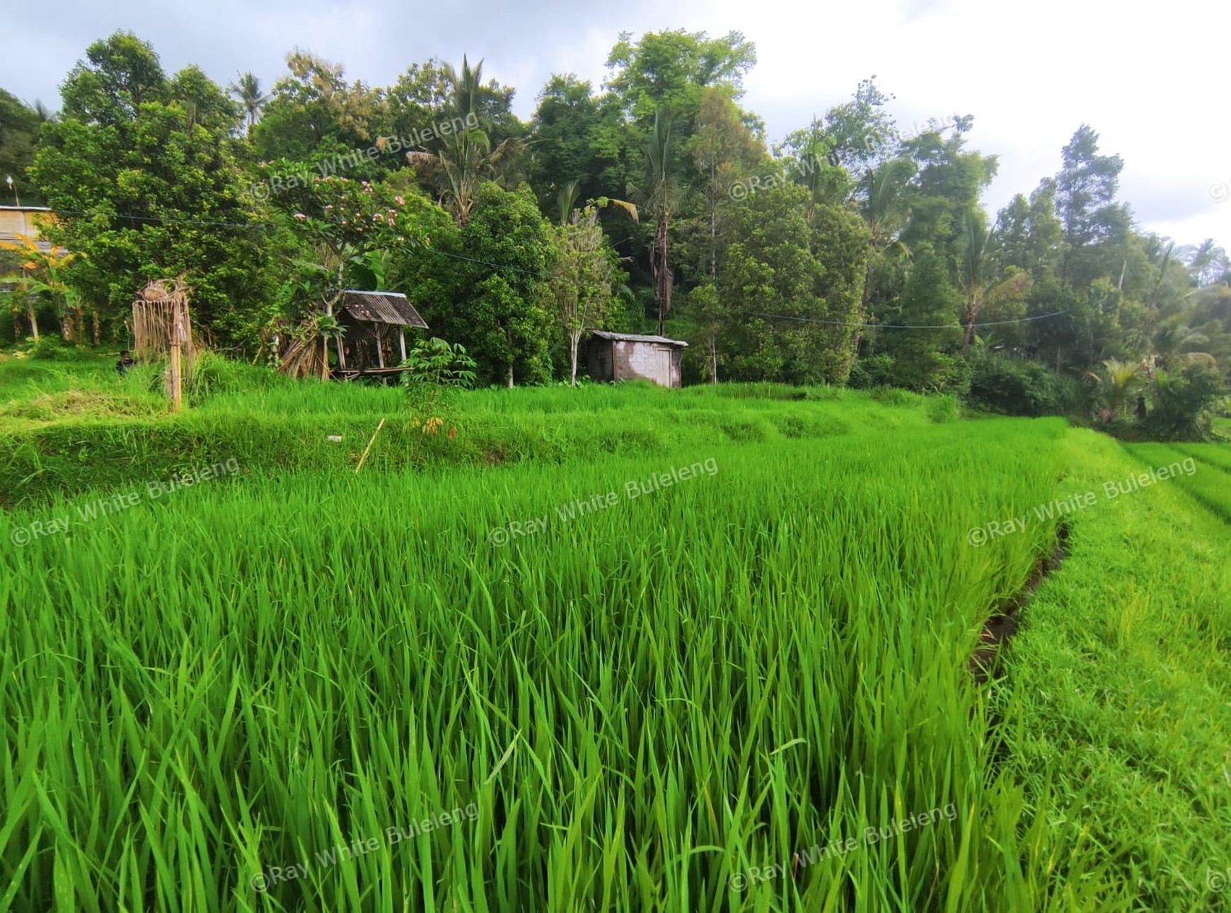 Huge Plot of Land with Great Road Access