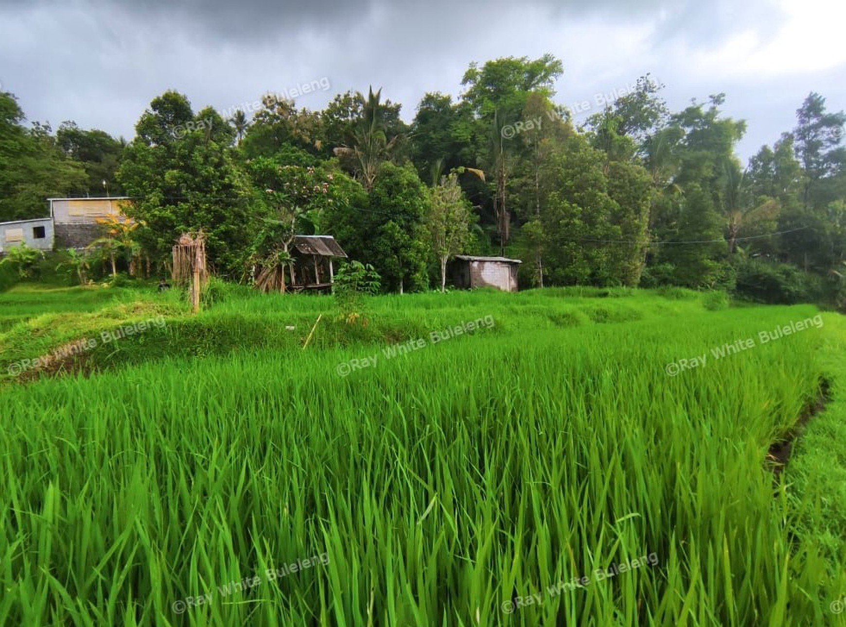 Huge Plot of Land with Great Road Access