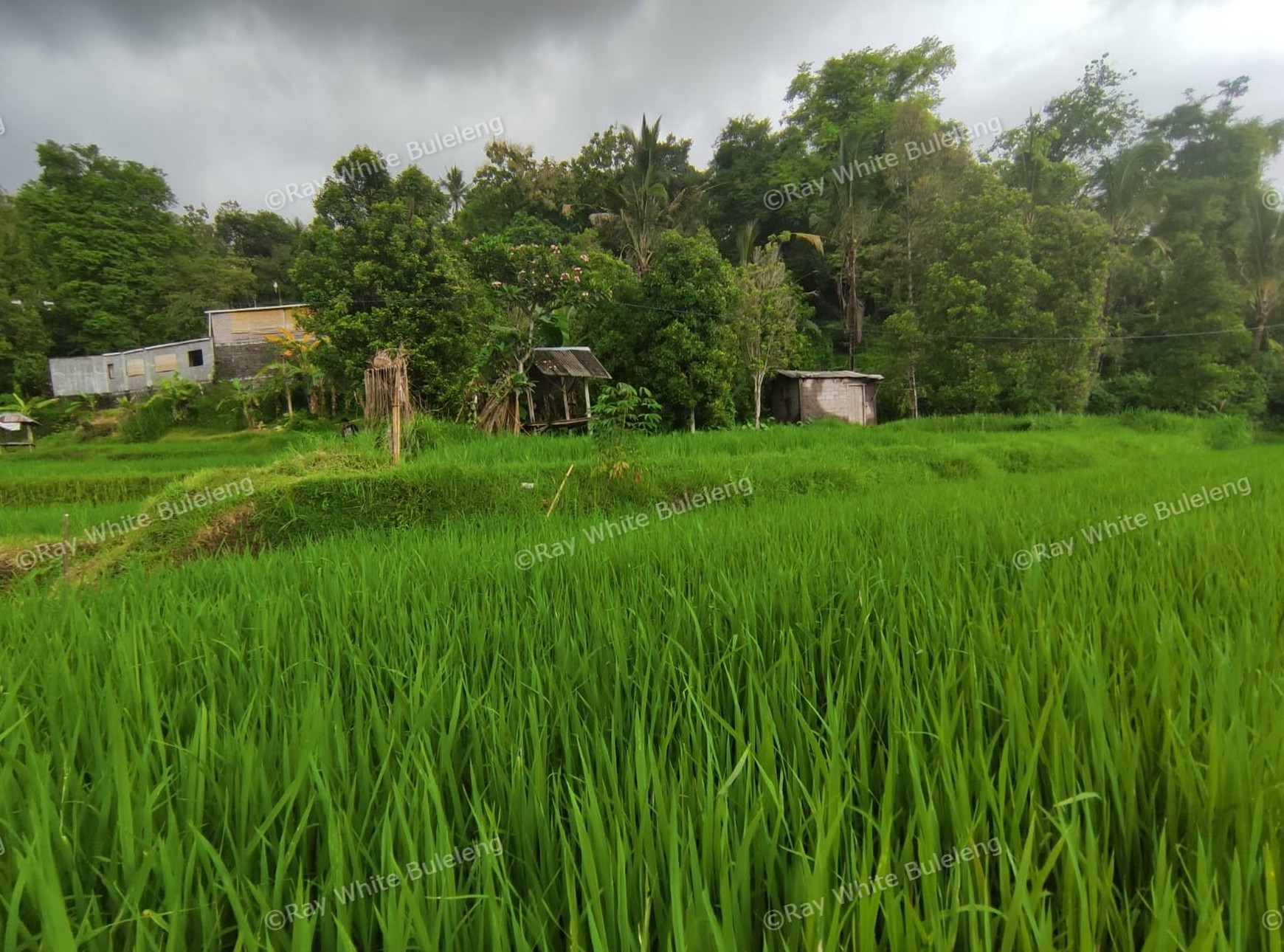 Huge Plot of Land with Great Road Access