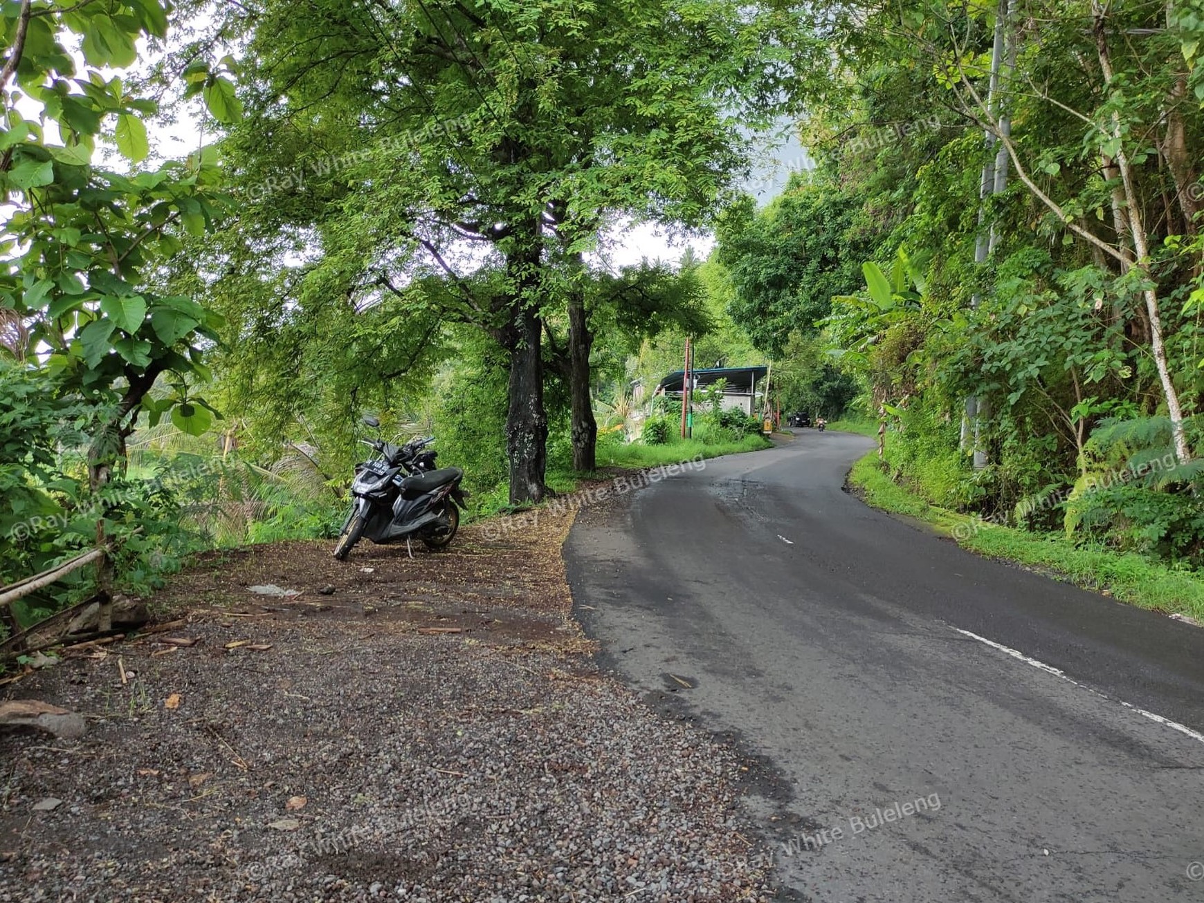 Huge Plot of Land with Great Road Access