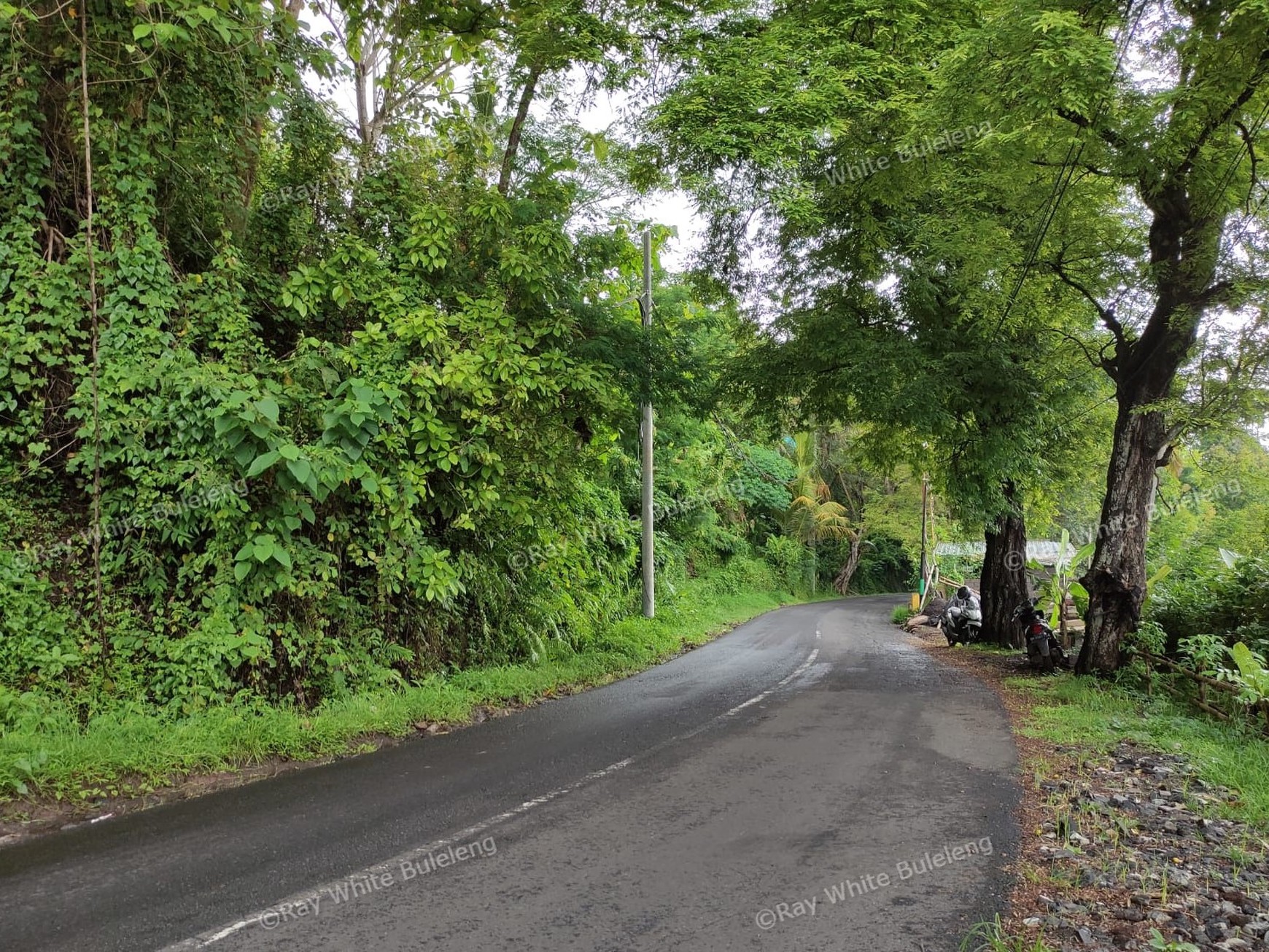 Huge Plot of Land with Great Road Access