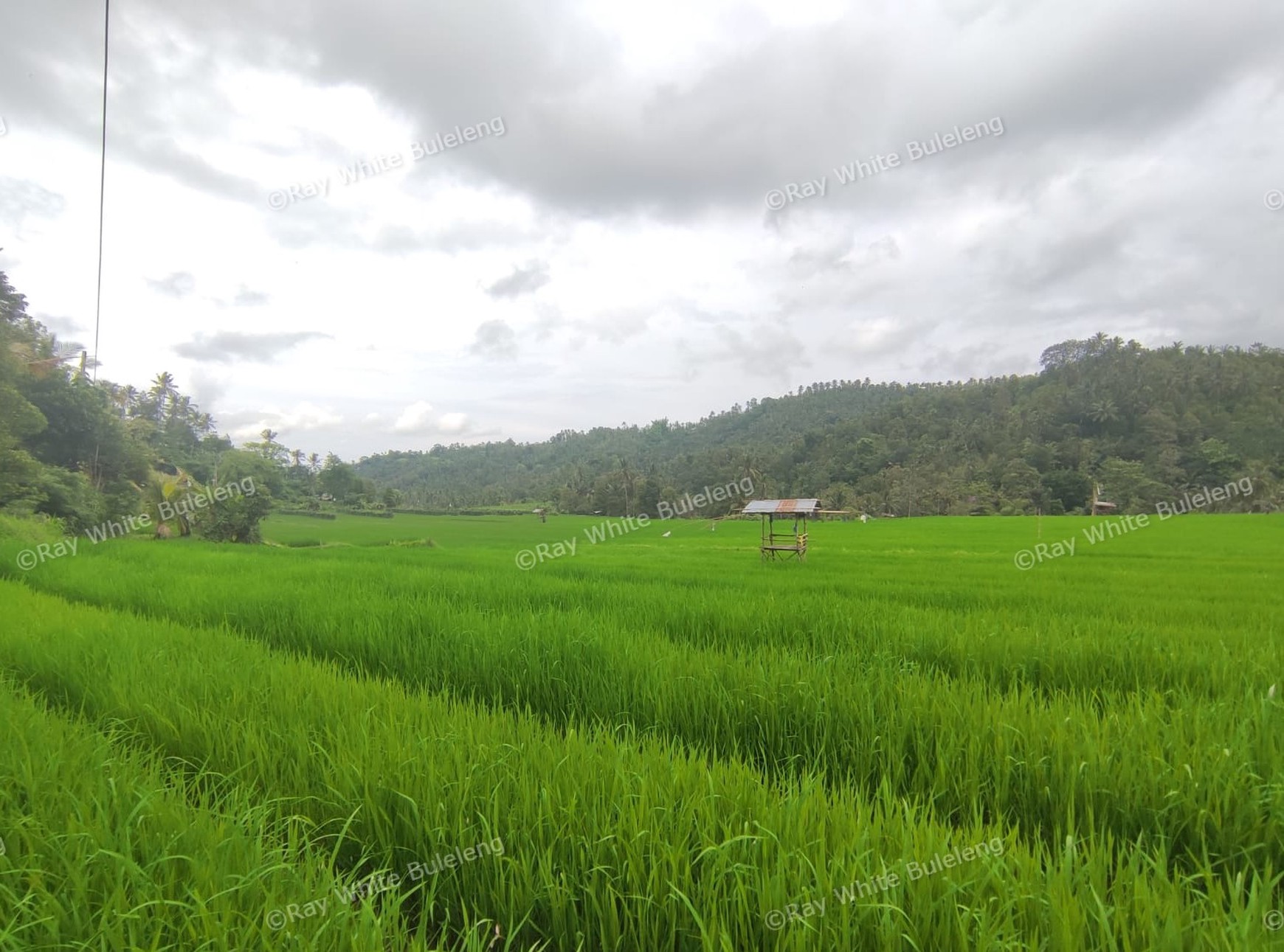 Huge Plot of Land with Great Road Access
