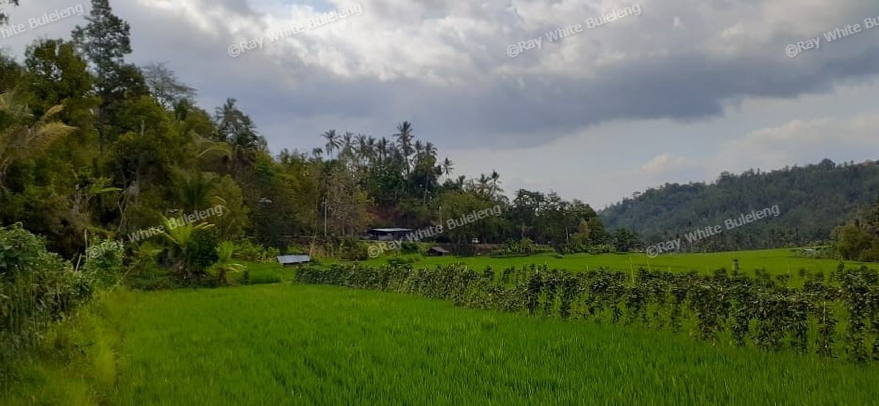 Huge Plot of Land with Great Road Access