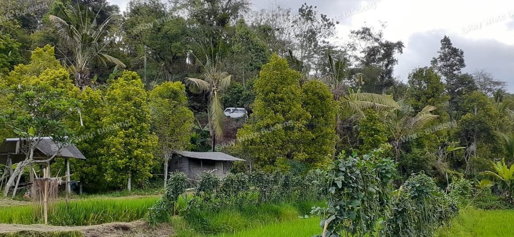Huge Plot of Land with Great Road Access