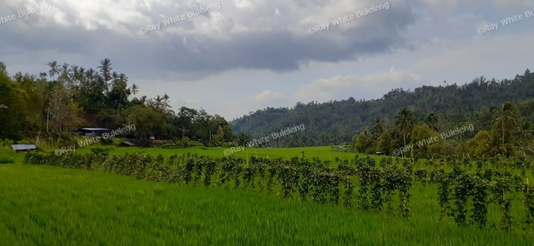 Huge Plot of Land with Great Road Access