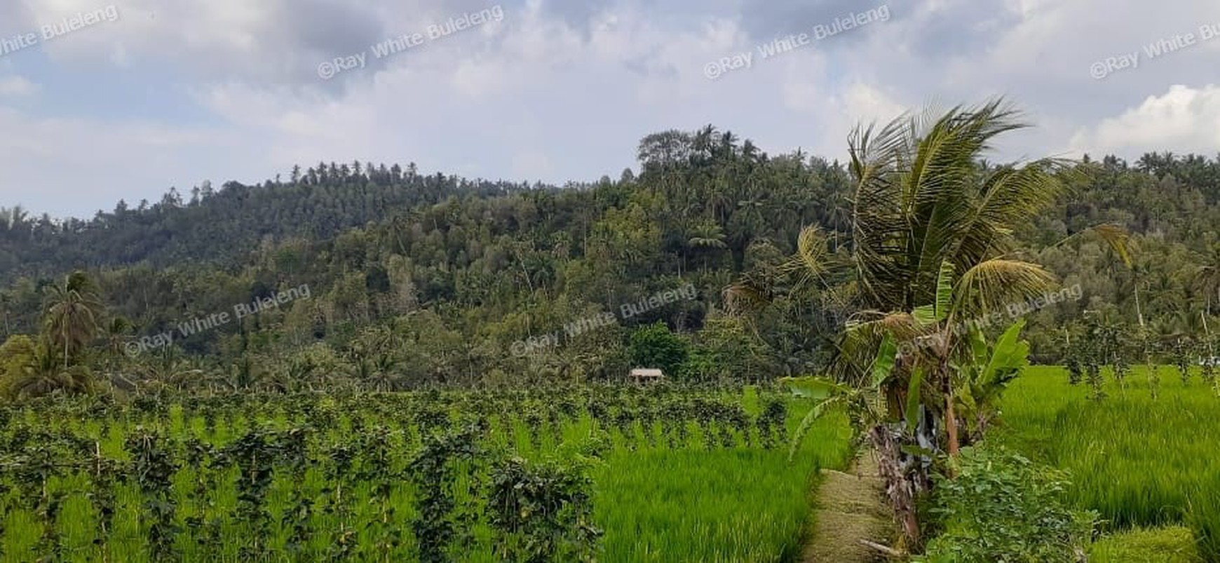 Huge Plot of Land with Great Road Access