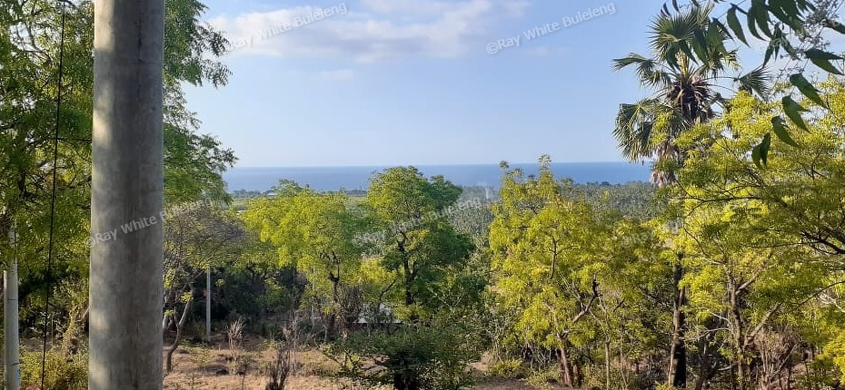 TANAH MURAH/ CHEAP LAND FOR SALE IN LOVINA