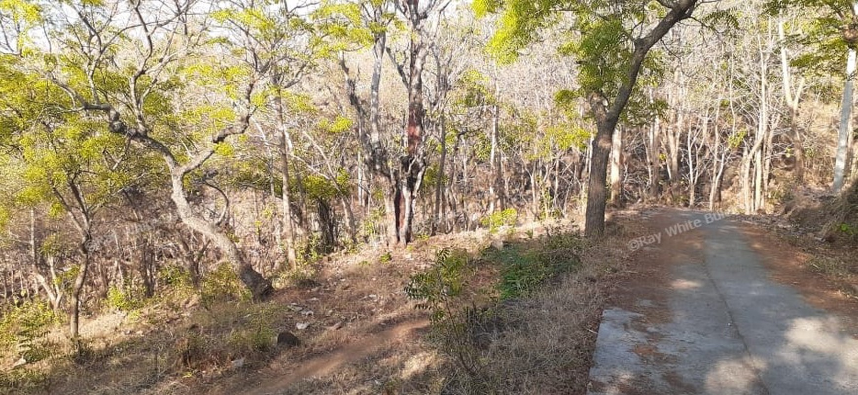 TANAH MURAH/ CHEAP LAND FOR SALE IN LOVINA