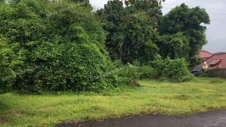 LAND CLOSE TO CENTRAL LOVINA
