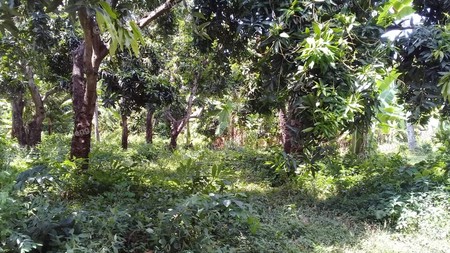 500m2 PLOT OF PRIME BUILDING LAND