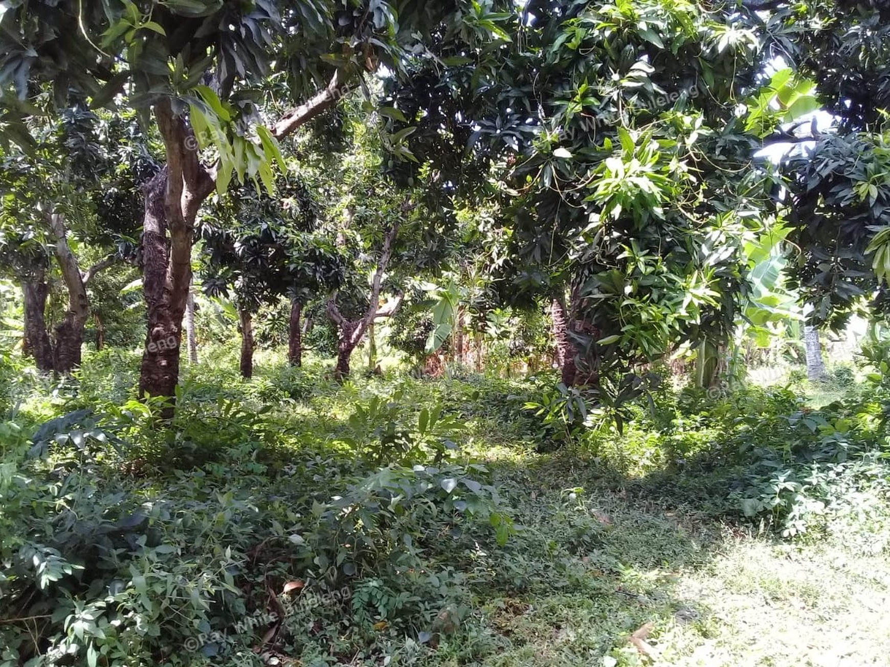 500m2 PLOT OF PRIME BUILDING LAND