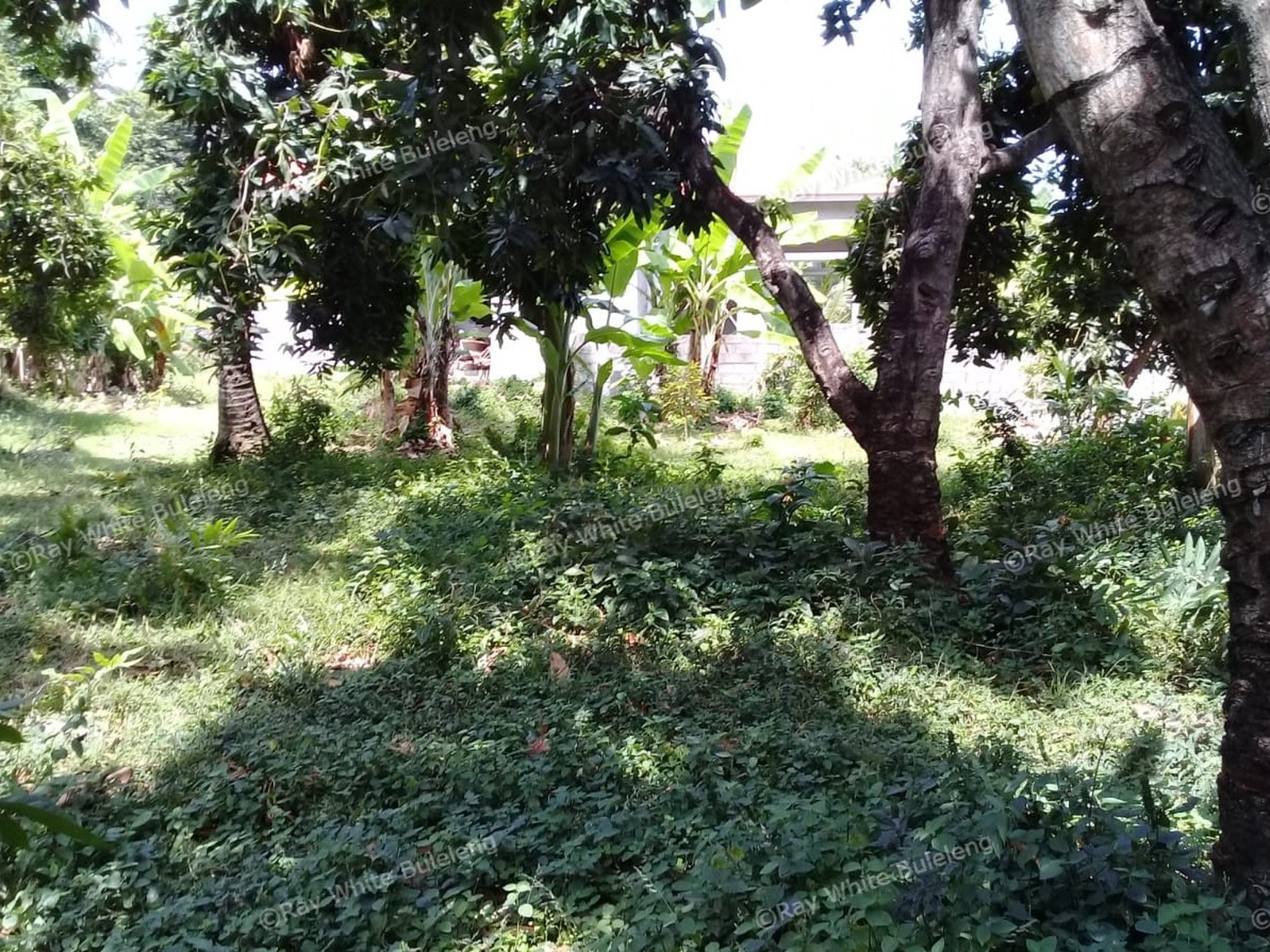 500m2 PLOT OF PRIME BUILDING LAND