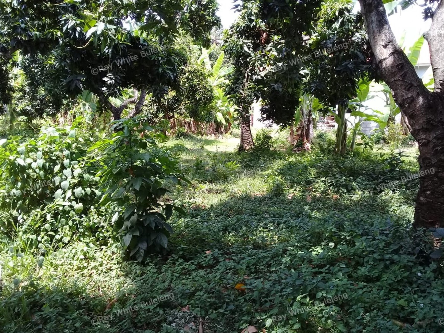 500m2 PLOT OF PRIME BUILDING LAND