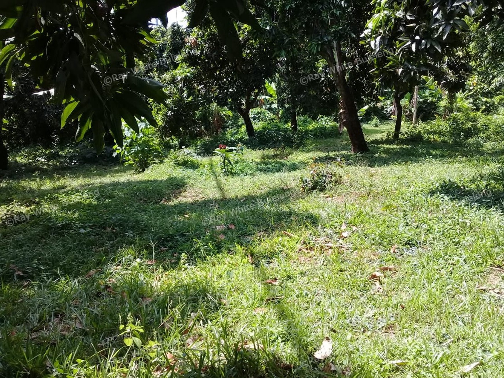 500m2 PLOT OF PRIME BUILDING LAND