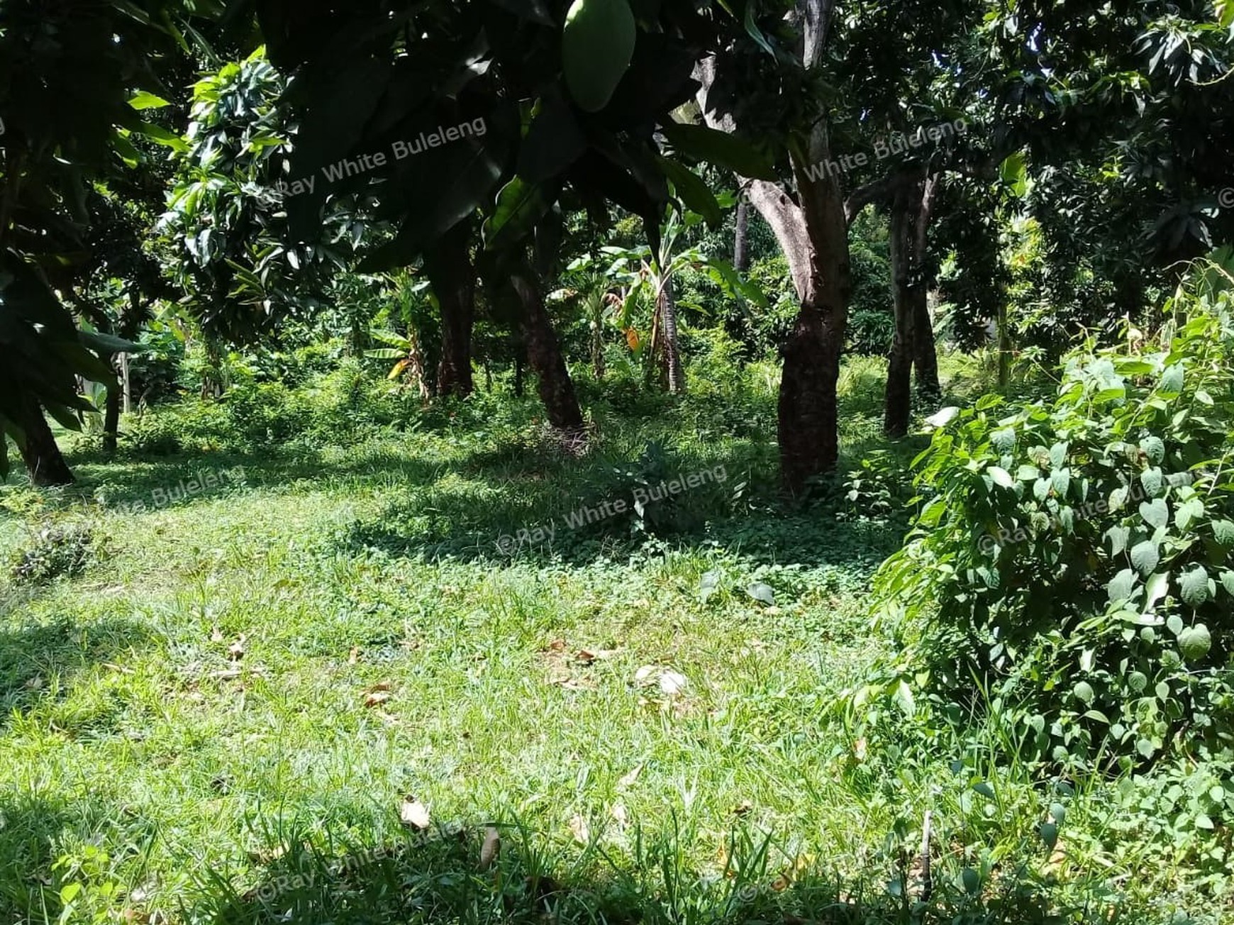 500m2 PLOT OF PRIME BUILDING LAND
