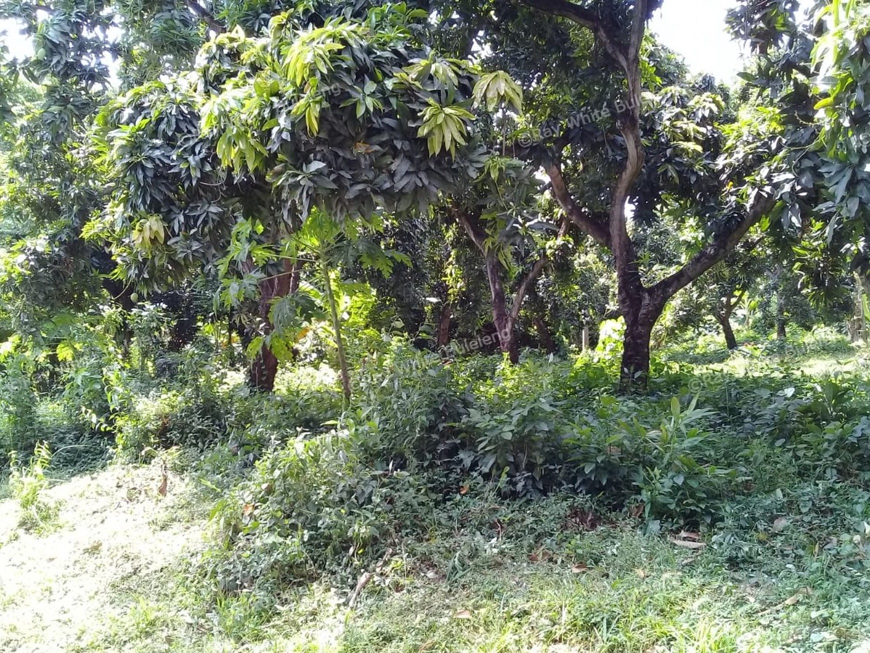 500m2 PLOT OF PRIME BUILDING LAND
