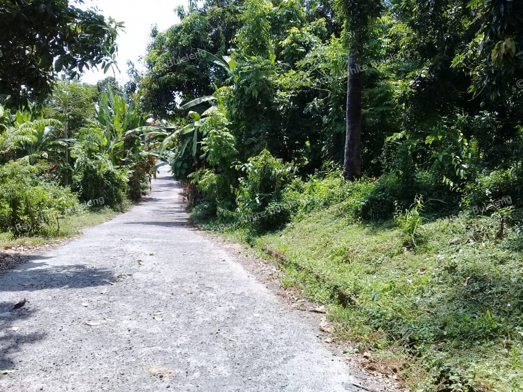 500m2 PLOT OF PRIME BUILDING LAND