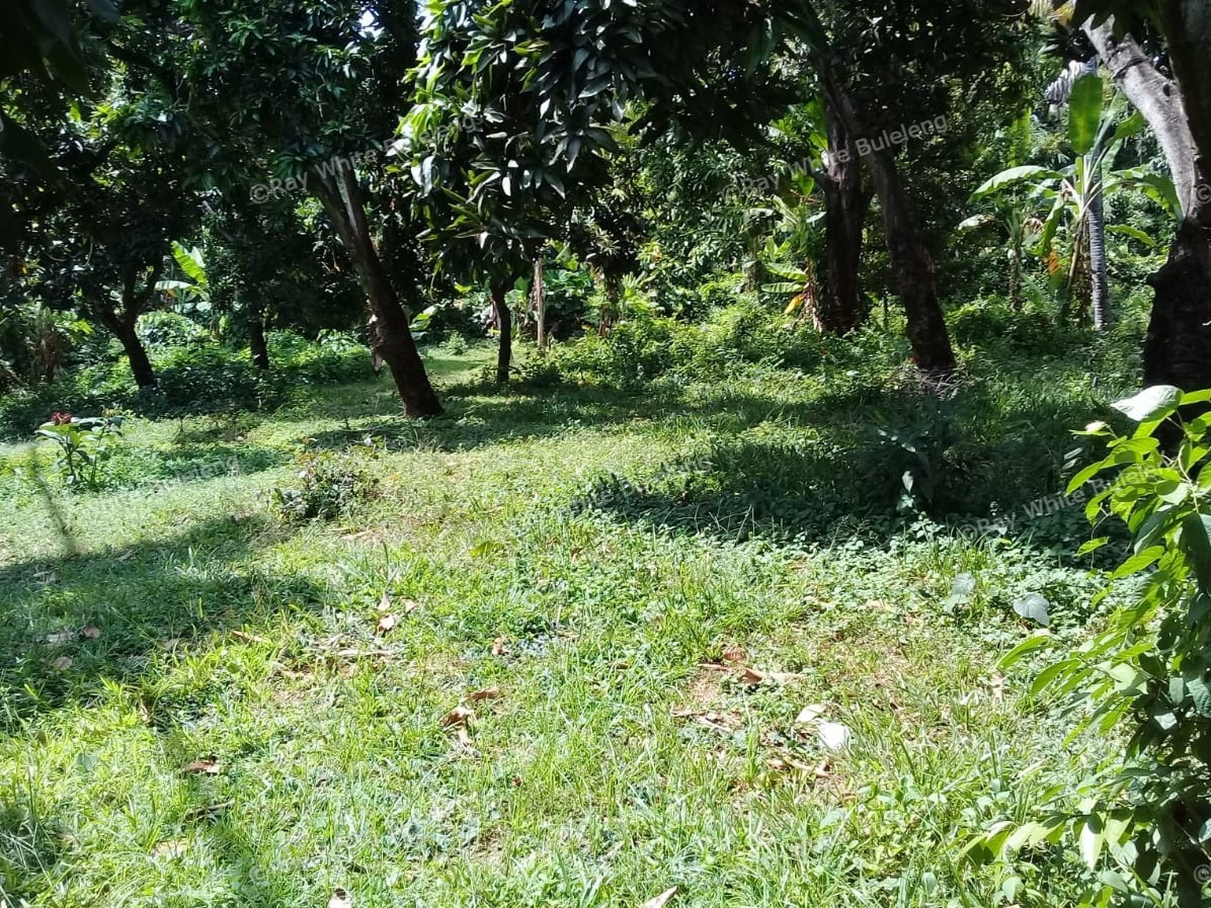 500m2 PLOT OF PRIME BUILDING LAND