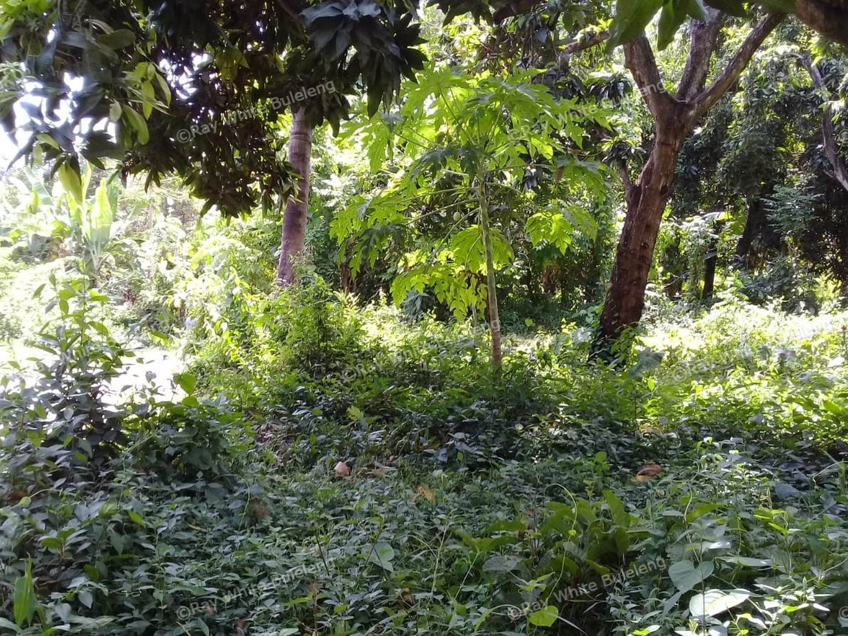 500m2 PLOT OF PRIME BUILDING LAND